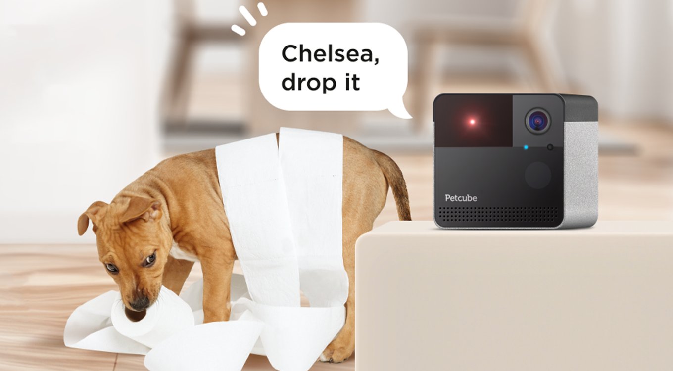 Petcube Play Wi-Fi Pet Camera