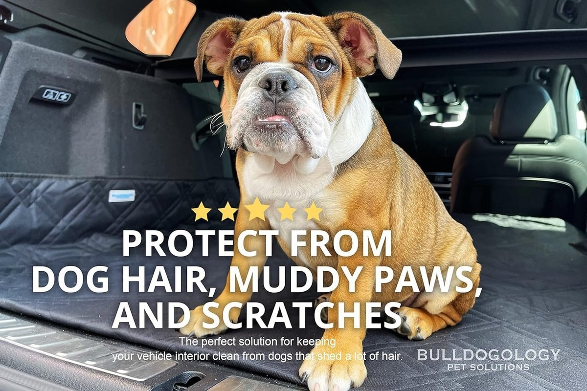 Bulldogology Pet Solutions SUV Cargo Cover, Black