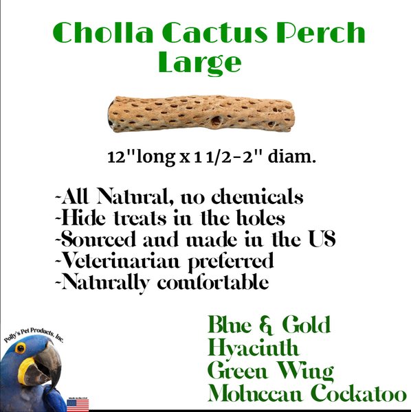 Show full view: Polly's Pet Products Cholla Cactus Bird Perch, Natural wood, Large slide 7 of 9