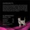 Show in main carousel: Purina Pro Plan Veterinary Diets UR Urinary St/Ox Wet Cat Food, 5.5-oz, case of 24 slide 7 of 12