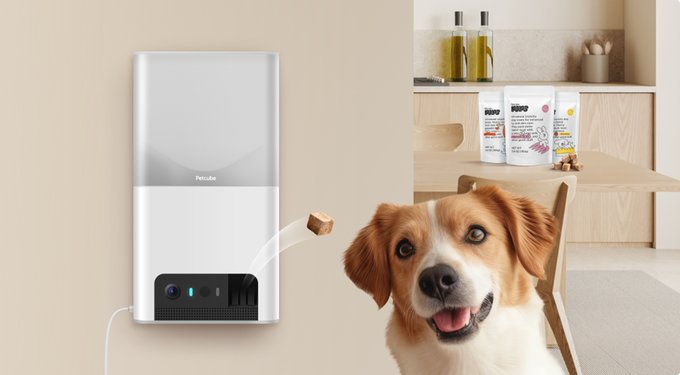 Treat Dispenser Best Treats For Petcube Smart Pet Treat Dispenser With  Camera 2-Way Audio Keep Your