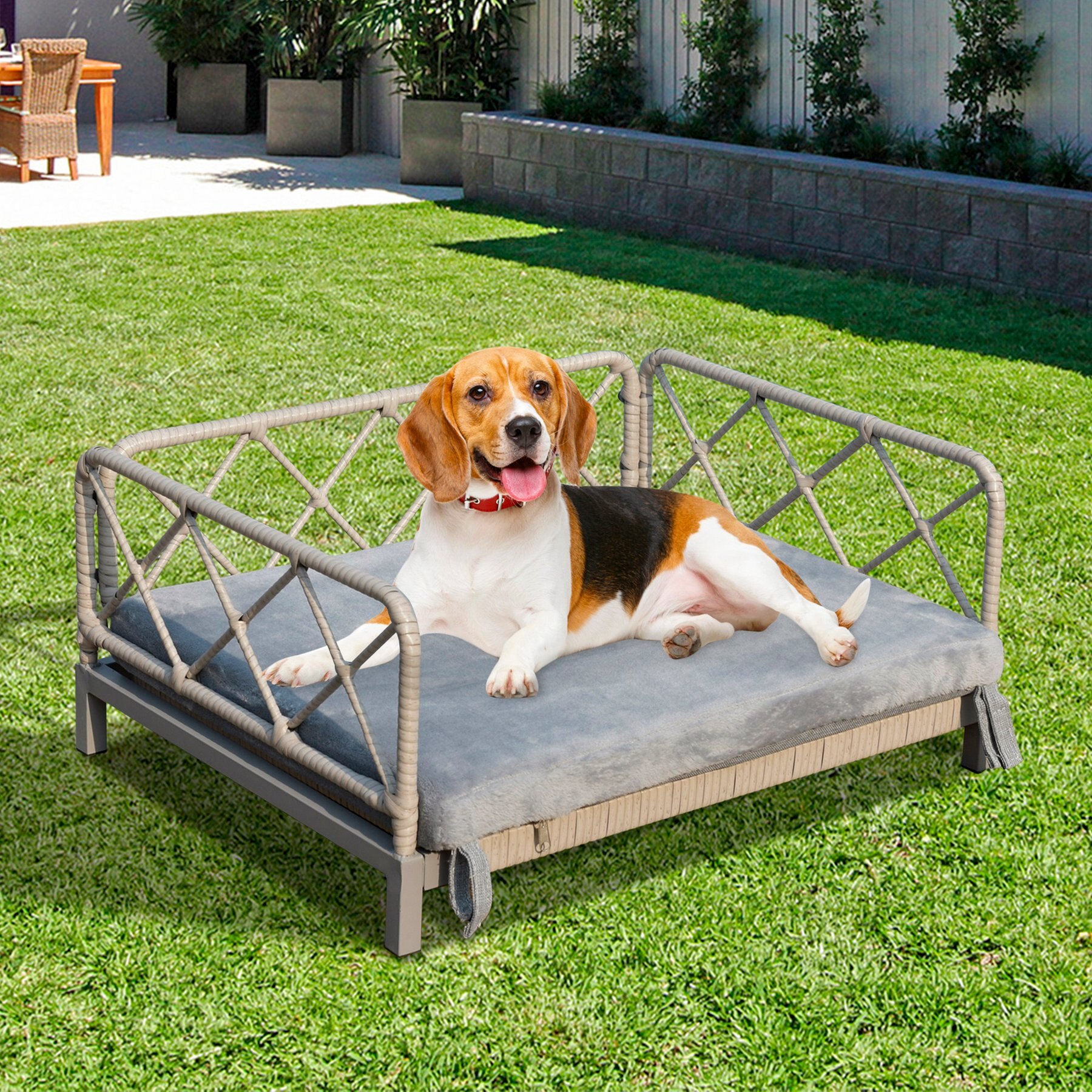 Zeus & Ruta Rattan Sofa Dog Bed, 25 x 19 x 13-in, Grey/White
