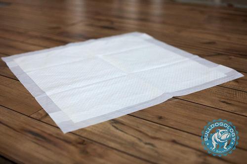 Show full view: Bulldogology Pet Solutions Puppy Training Pads, 24 x 24-in, 150 count slide 3 of 9
