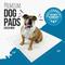 Show in main carousel: Bulldogology Pet Solutions Puppy Training Pads, 24 x 24-in, 150 count slide 2 of 9