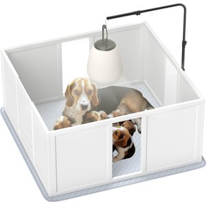 Zeus & Ruta Small & Medium Breed Dog Whelping Box, White, 30 x 17.75 x 16.25-in
