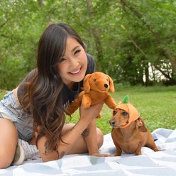 The Weens Pumkin Kinda Punny Squeaky Dog Plush Toy slide 2 of 3