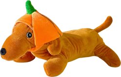 The Weens Pumkin Kinda Punny Squeaky Dog Plush Toy