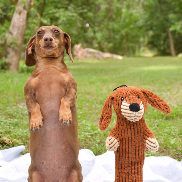 Show full view: The Weens Tubby Meerkat Pro Squeaky Dog Plush Toy slide 2 of 2
