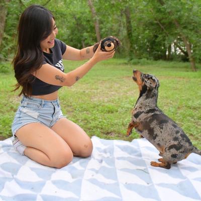 Show full view: The Weens Bandit El Bandido Tough Dog Ball slide 3 of 3