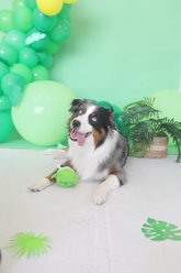 Patchwork Pet Pricklet Alligator Tough Dog Ball slide 2 of 3