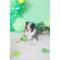 Show in main carousel: Patchwork Pet Pricklet Alligator Tough Dog Ball slide 4 of 4