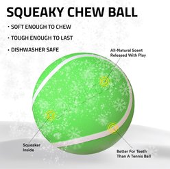 Playology Christmas Holiday Turkey Scented Squeaky Chew Ball Dog Toy, Green, Jumbo slide 2 of 5