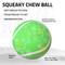 Show in main carousel: Playology Christmas Holiday Turkey Scented Squeaky Chew Ball Dog Toy, Green, Medium slide 2 of 7