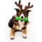 Show in main carousel: Playology Holiday Turkey Scented Squeaky Chew Stick Dog Toy, Green, Medium slide 3 of 7