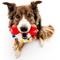 Show in main carousel: Playology Christmas Holiday Gravy Scented Dual Layer Bone Dog Toy, Red, Small 2-Pack slide 3 of 6