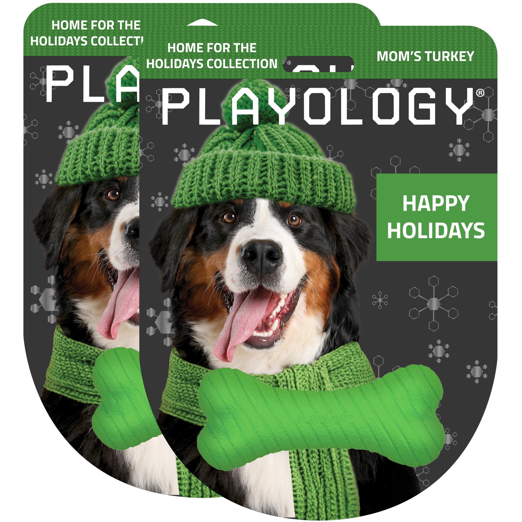 Playology Holiday Turkey Scented Dual Layer Bone Dog Toy, Green, Small 2-Pack