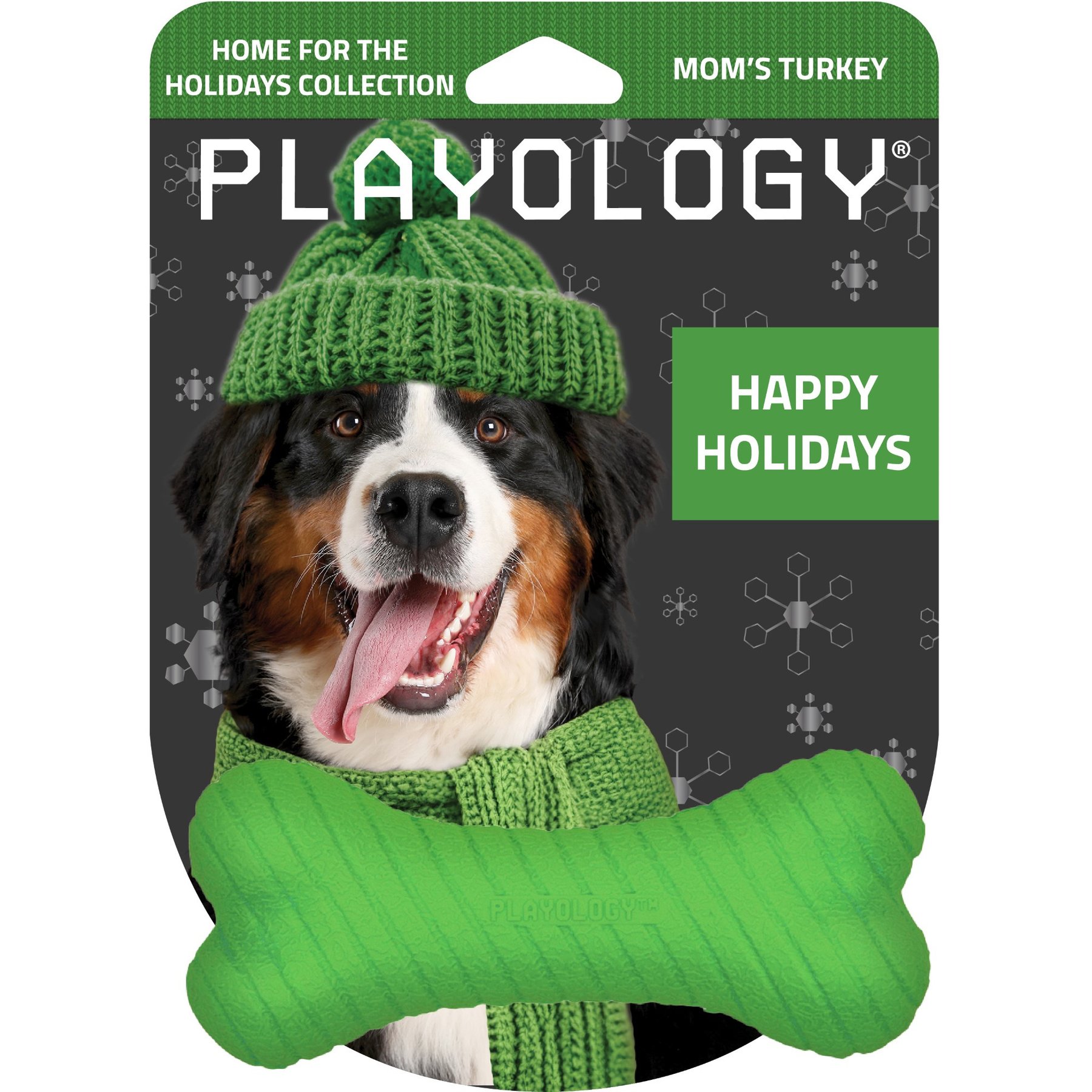 Playology Christmas Holiday Turkey Scented Dual Layer Bone Dog Toy, Green, Medium