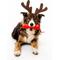 Show in main carousel: Playology Christmas Holiday Gravy Scented Squeaky Chew Stick Dog Toy, Red, Medium slide 3 of 6