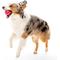 Show in main carousel: Playology Christmas Holiday Gravy Scented Squeaky Chew Ball Dog Toy, Red, Medium slide 3 of 6