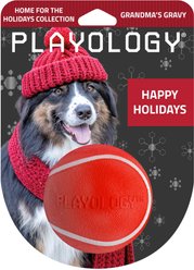 Playology Christmas Holiday Gravy Scented Squeaky Chew Ball Dog Toy, Red, Medium