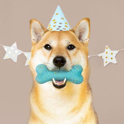 Show full view: Playology Dual Layer Bone Peanut Butter Birthday Cake Tough Dog Chew Toy, Blue, Medium slide 3 of 7