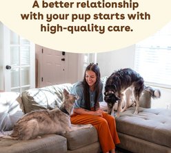 Pupford Allergy Supplement for Dogs, 60 count slide 2 of 8