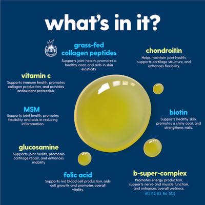 Show full view: Taily Superdaily Bacon Flavored Liquid Multivitamin for Dogs & Cats, 4-fl oz bottle slide 4 of 9