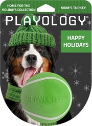 Playology Christmas Holiday Turkey Scented Squeaky Chew Ball Dog Toy, Green, Medium