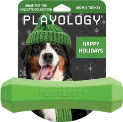 Playology Holiday Turkey Scented Squeaky Chew Stick Dog Toy, Green, Jumbo
