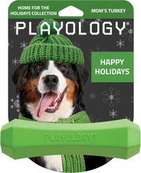 Playology Holiday Turkey Scented Squeaky Chew Stick Dog Toy, Green, Medium