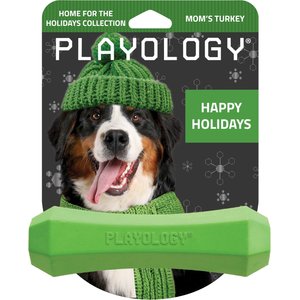 Playology Beef Scented Fetch Stick Dog Toy