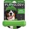 Show in main carousel: Playology Holiday Turkey Scented Squeaky Chew Stick Dog Toy, Green, Medium slide 1 of 7