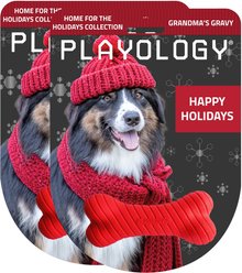 Playology Christmas Holiday Gravy Scented Dual Layer Bone Dog Toy, Red, Small 2-Pack