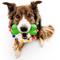 Show in main carousel: Playology Christmas Holiday Turkey Scented Dual Layer Bone Dog Toy, Green, Jumbo slide 3 of 7