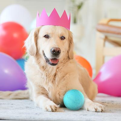 Show full view: Playology Peanut Butter Birthday Cake Squeaky Dog Ball, Blue, Jumbo slide 3 of 7