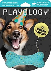 Playology Dual Layer Bone Peanut Butter Birthday Cake Tough Dog Chew Toy, Blue, Small