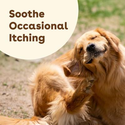 Show full view: Pupford Allergy Supplement for Dogs, 60 count slide 8 of 10