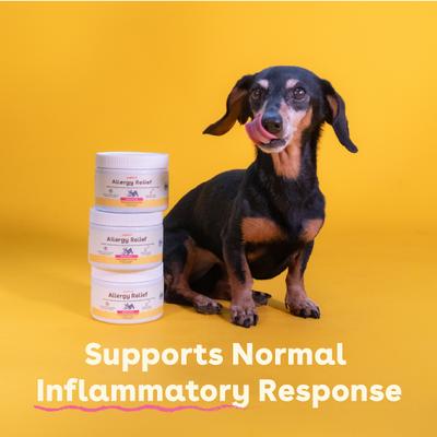 Show full view: Pupford Allergy Supplement for Dogs, 60 count slide 5 of 10