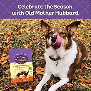 Old Mother Hubbard by Wellness Fall Favorite P-Nutter Oven-Baked Biscuits Dog Treats, 16-oz bag