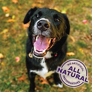 Old Mother Hubbard by Wellness Fall Favorite P-Nutter Oven-Baked Biscuits Dog Treats, 16-oz bag