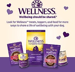 Old Mother Hubbard by Wellness Classic Bac'N'Cheez Natural Small Oven-Baked Biscuits Dog Treats, 20-oz bag slide 2 of 7