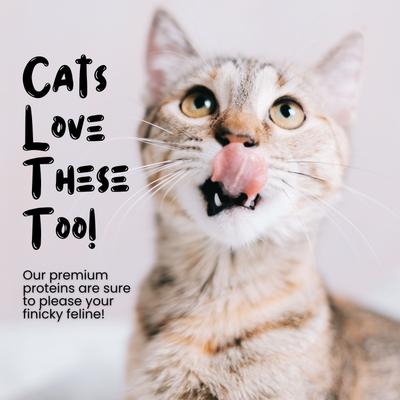 Show full view: Sprankles Minnows Freeze-Dried Raw Dog & Cat Treats, Grain-Free, 1-oz bag slide 5 of 9