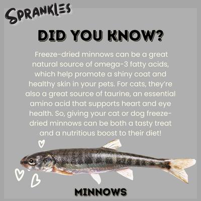 Show full view: Sprankles Minnows Freeze-Dried Raw Dog & Cat Treats, Grain-Free, 1-oz bag slide 6 of 9