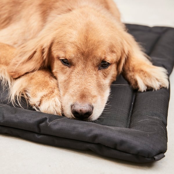 Show full view: K9 Ballistics Tough Ripstop Dog Crate Mat, Sandstone, Medium slide 3 of 8