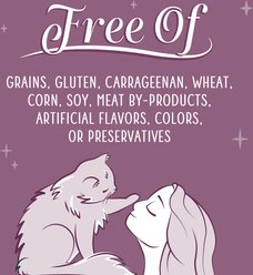 Weruva Senior Grain-Free Chicken Formula in Gravy Wet Cat Food, 3-oz can, case of 12 slide 2 of 9