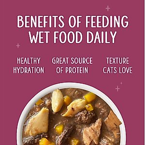 Weruva Senior Grain-Free Tuna & Salmon Formula in Gravy Wet Cat Food, 3-oz can, case of 12