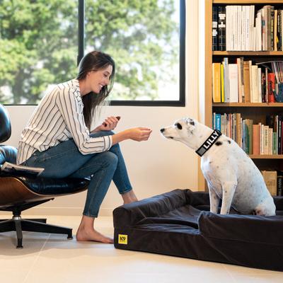 Show full view: K9 Ballistics Tough Ripstop 3.5 Orthopedic Bolster Dog Bed, Obsidian Black, Medium slide 3 of 5