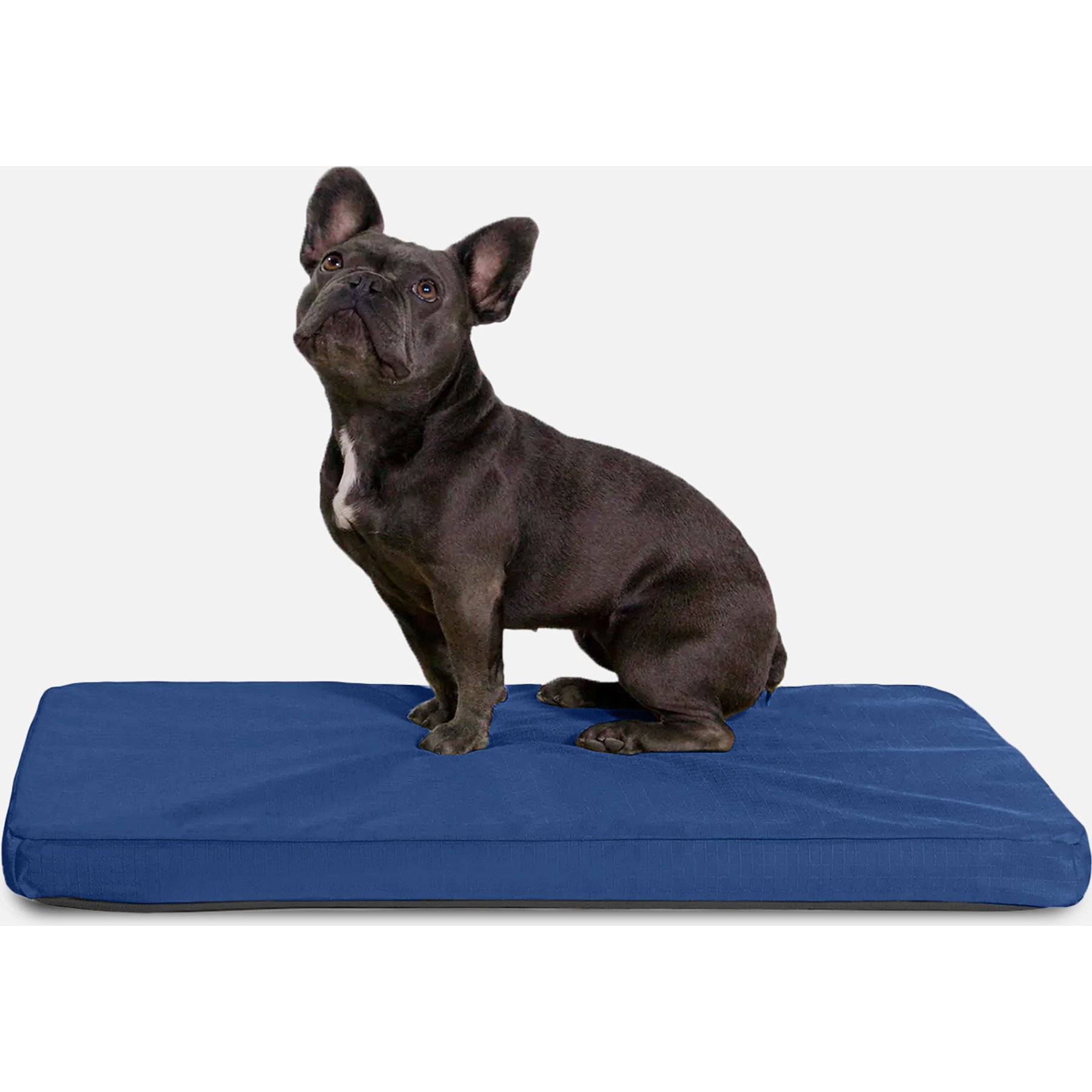 K9 Ballistics Tough Ripstop Orthopedic Dog Crate Mat, Blue Quartz, Small