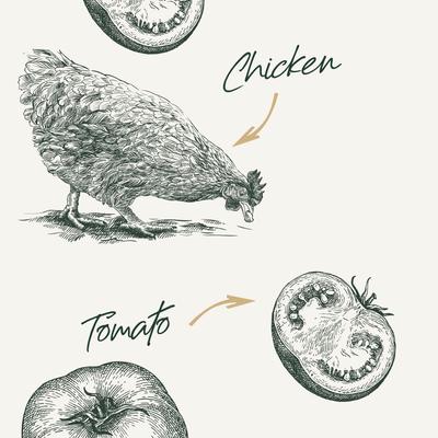 Show full view: Bab'in Flavour Mill Tomato & Chicken Dog Food Topper, 45-gm jar slide 3 of 6