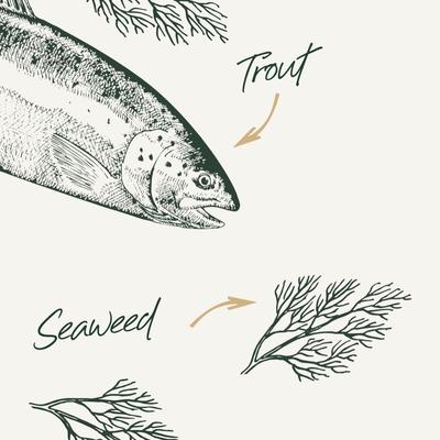 Show full view: Bab'in Flavour Mill Trout & Algae Dog Food Topper, 45-gm jar slide 3 of 6